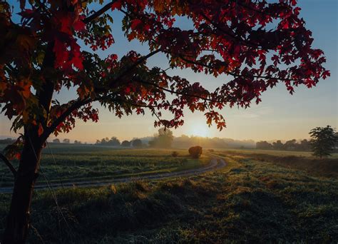 Farmland Autumn Trees 5k Hd Nature 4k Wallpapers Images Backgrounds