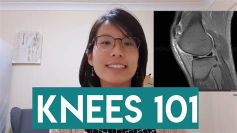 Knees 101 A Beginners Guide To Knee Anatomy And Common Knee Injuries