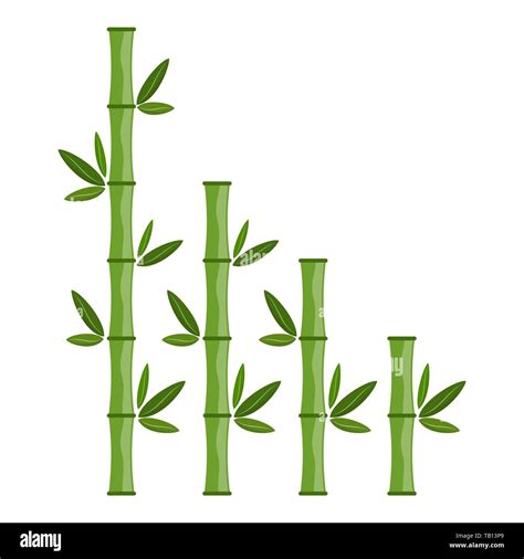 Branches Et Feuilles De Bambou Vert Vector Illustration Les Tiges De