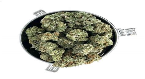 Blue Dream Cannabis Strain Everything You Need To Know Low Price Bud