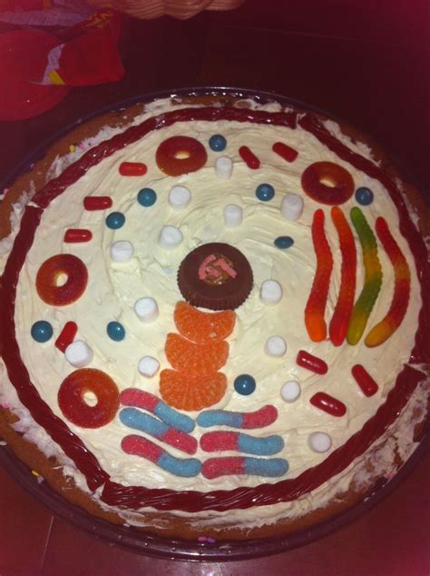 Cells are the basic unit of all living things. Animal cell project 7th grade | Education | Pinterest ...