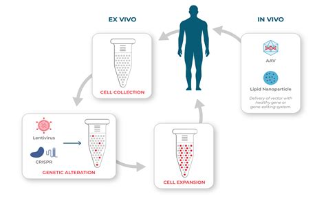 Cell And Gene Therapy Development Mission Bio