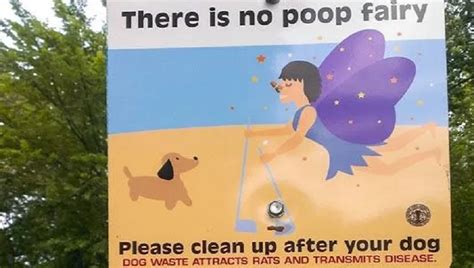 15 Best Dog Poop Signs Pictures Dogtime
