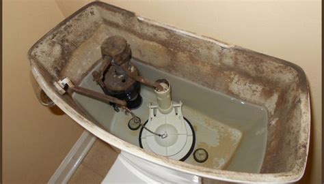 How To Get Rid Of Mold In Toilet Causes And Solutions