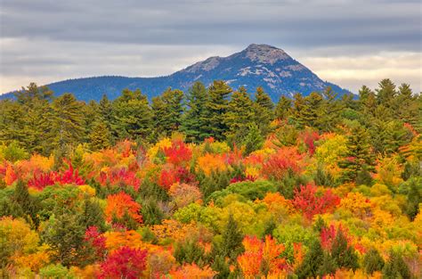 New Hampshire White Mountains Fall Foliage At Mount Chocorua Juergen Roth