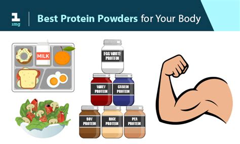 What Supplements Should Powerlifters Use Protein Bars