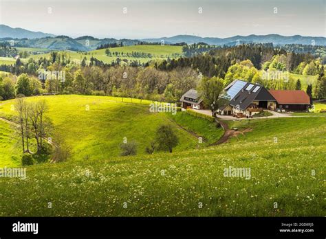 Black Forest House Hi Res Stock Photography And Images Alamy