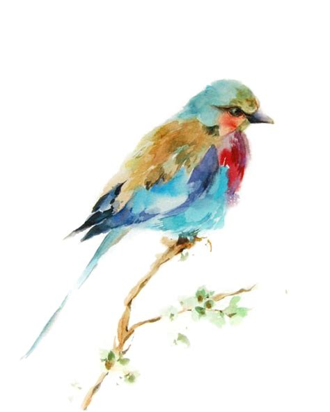 Download Bird Watercolor Printmaking Drawing Painting Birds Clipart Png
