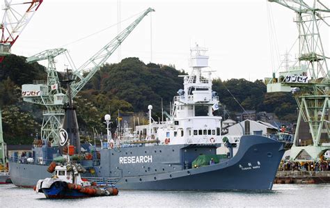 Japans Research Whaling Fleet Leaves For Antarctic The
