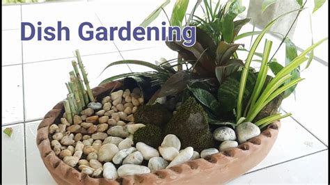 How To Make Your Own Dish Garden Dish Garden Dish Gardening Youtube