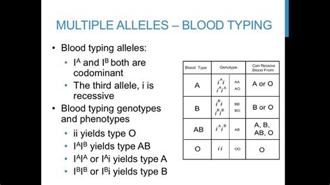 The punnett square is a summary of every possible combination of one maternal allele with one paternal allele for this site might help you. Punnett square practice problems (multiple alleles) - YouTube