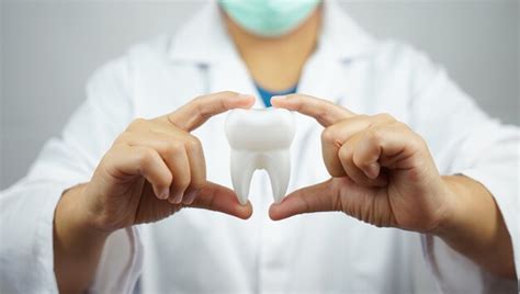 Tudo Que Você Precisa Saber Para Fazer Odontologia