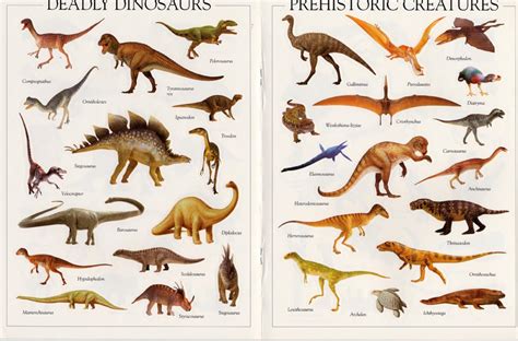 Dinosaur Names For Kids Dinosaurs Pictures And Facts