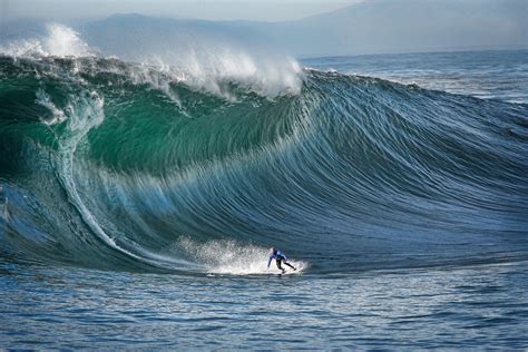 Hawaii Surfing, Dangerous Waves | Animal Photo