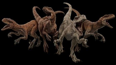 Three Dinosaurs Are Fighting With Each Other On A Black Background And One Is Attacking Another