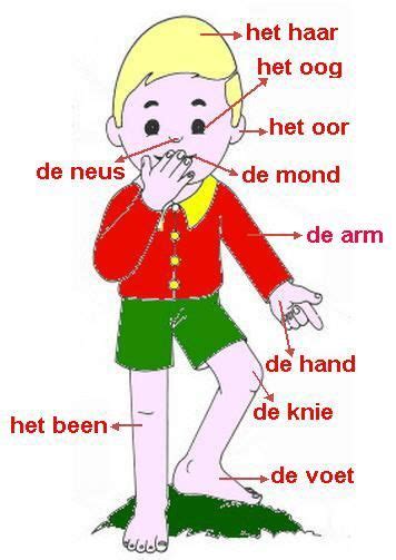 Pin Op Nederlandse Woordenschatoefeningen Exercices De Vocabulaire