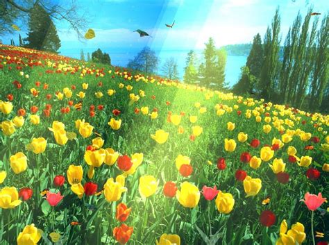 Animated Flower Garden Background Clip Art Library