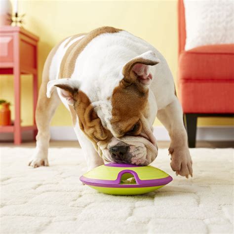 15 Best Interactive Dog Toys 2022 Fun Interactive Dog Feeder And