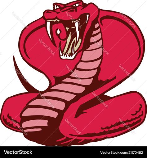 Cobra Snake Mascot Animal Cartoon Character Vector Image