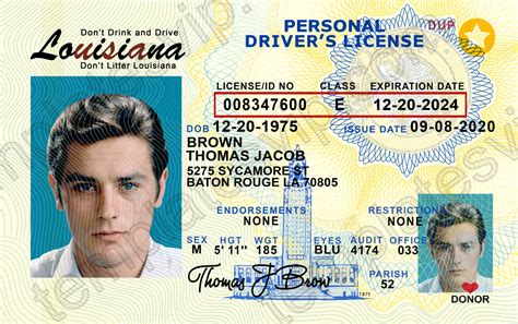 Drivers License Template Psd Free Download Printable Word Searches