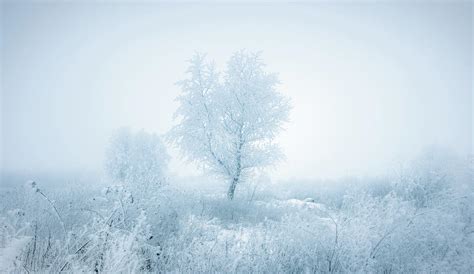 The Frozen Nature Photograph By Igor Klyakhin Fine Art America