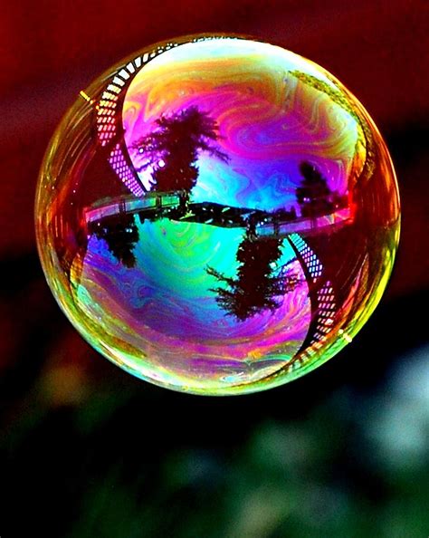 Reflection On A Bubble Photograph By Don Mann