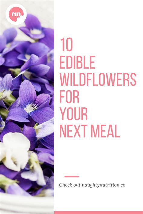 Here Are 10 Edible Wildflowers To Elevate The Look And Taste Of Your