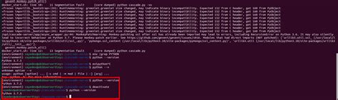Segmentation Fault While Running Python In Docker Container Dev Solutions