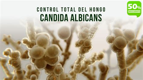 10 Control Total Del Hongo Candida Albicans Frank Suárez