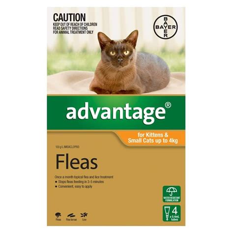 How did i get cat fleas? Bayer Advantage: Spot-on Flea Treatment for Cats in Kenya
