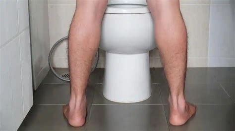 How Many Times Should A Healthy Person Urinate In A Day Fleekloaded