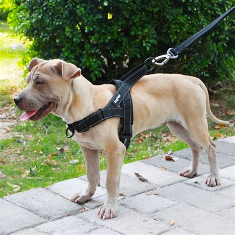 Buy Dog Harness Easy On And Off Adjustable Medium Large Dogsreflective