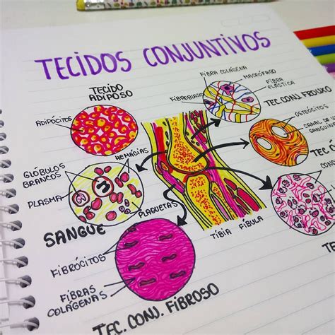 Aqui Mapa Mental Sobre Tecido Conjuntivo Atualizado