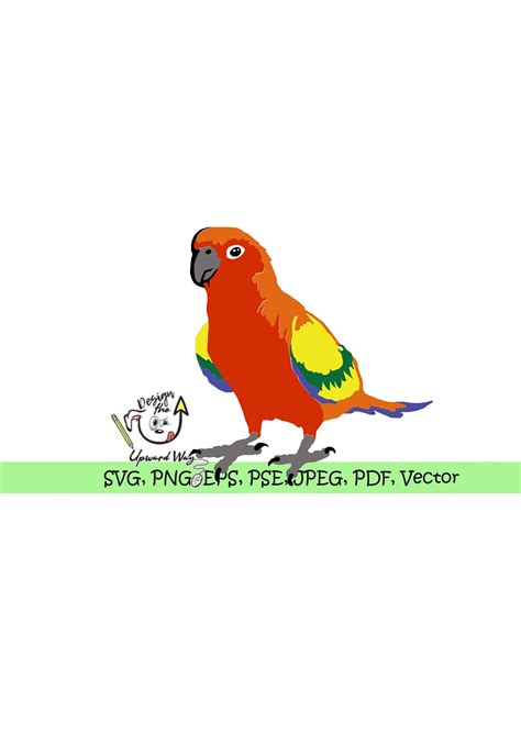 Sun Conure Parrot Svg Svg Bird Png Png Pet Cricut Exotic Pet Vet Aviary