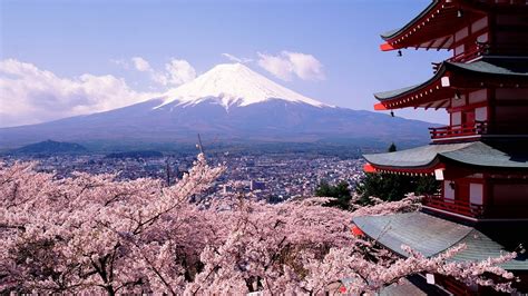 1600 x 1200 jpeg 573 кб. japan mount fuji cherry blossoms chureito pagoda 1920x1080 ...