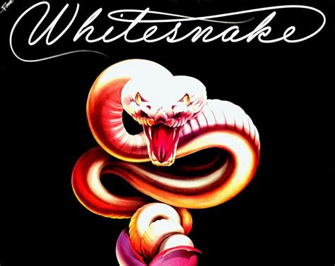 Whitesnake Hd Wallpaper Pxfuel