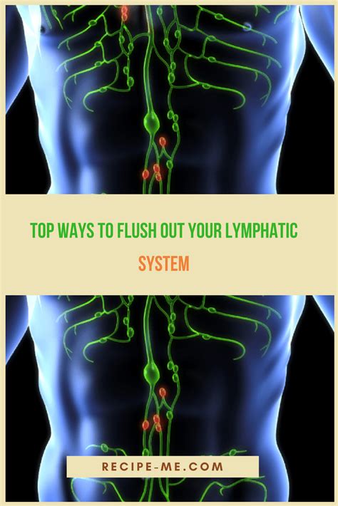 Top Ways To Flush Out Your Lymphatic System Lymphatic System
