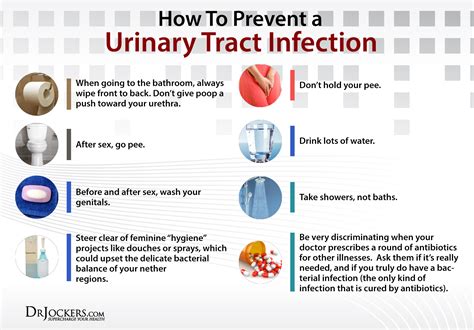 What Causes Urinary Tract Infections In Elderly Females