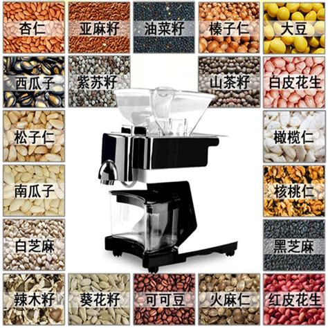 110V 220V Commercial Olive Oil Press Machine Nut Seeds Automatic Oil