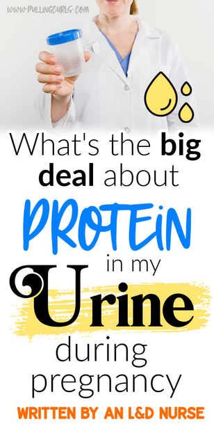 Protein In Urine While Pregnant