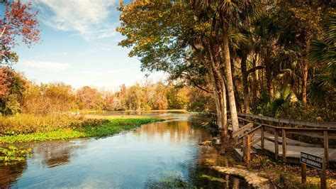 7 Best Natural Springs in Florida You Need to Visit | Mortons on the Move