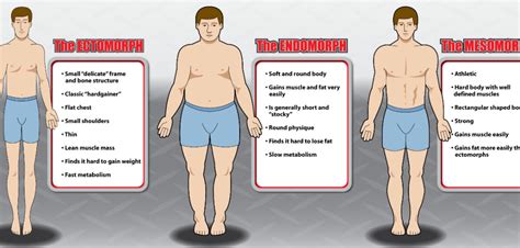 The 3 Body Types Explained Ectomorph Mesomorph And Endomorph