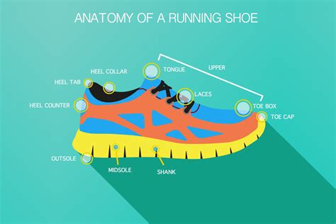 Anatomy Of A Running Shoe What Are The Parts Of A Running Shoe