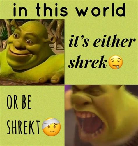 Pin By Claireflmd On Lmao Shrek Funny Pictures Mood Pics