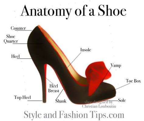 Important Anatomy Lesson Heels Christian Shoes Everyday Heels