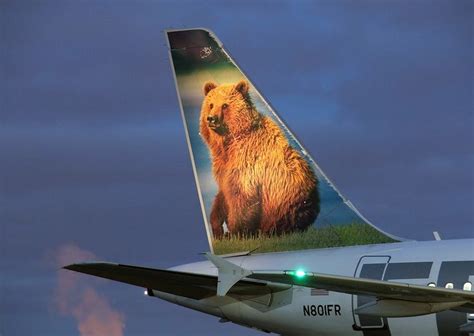 Frontier Airlines Airbus A318 111 N801fr Grizwald The Grizzly Bear Airlines Airbus Air France