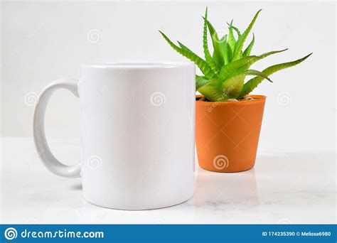 11 Oz Coffee Mug Mockup With Aloe Vera Plant Stock Photo Image Of