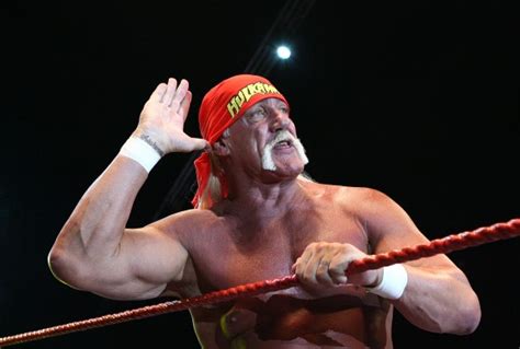 Hulk Hogans Racist Outburst Could Help Gawker Win A 100 Million Jury