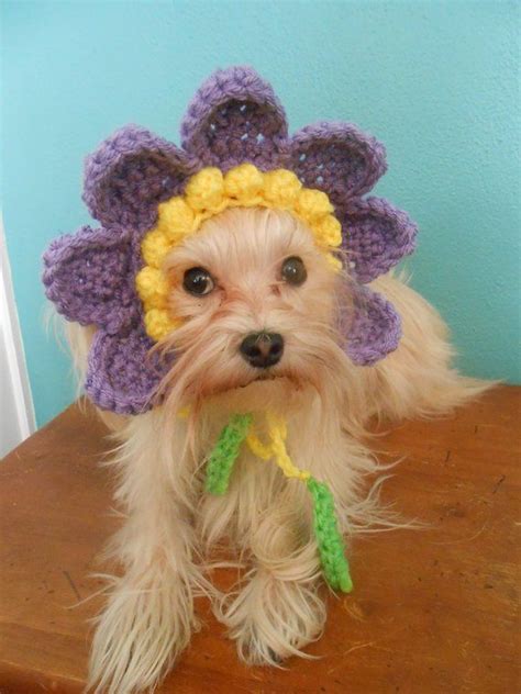 Flower Hat For Dog Or Cat Purple And Yellow Flower Hat