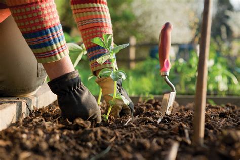 Six For Success Smart Rules For Gardeners